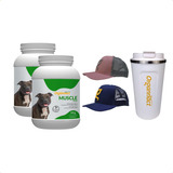 Kit 2 Muscle Dog Suplemento Cachorro 1kg Organnact + Brinde