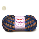 Kit 2 Novelos Lã Mollet 100g - Círculo Para Croche Trico 