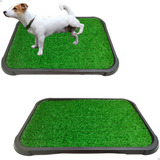 Kit 2 Sanitário Canino Xixi Pet Grama Sintética Lavável Gg