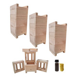 Kit 3 Caixas Abelhas Jataí Inpa 10x10 2 Melgueiras Eucalipto