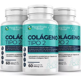 Kit 3 Colágeno Tipo 2 Uc2 40mg + Vit C 180 Caps Articulações Sabor Neutro