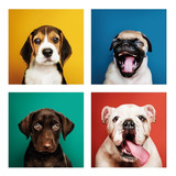 Kit 4 Placas Decorativos Filhotes -30x30 Cm