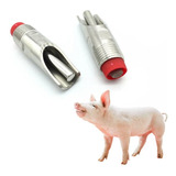 Kit 5 Bebedouro Chupeta Inox Suíno Porco Adulto 7cm
