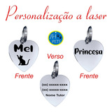 Kit 6 Plaquinhas Identificação Cachorro Gato Personalizado