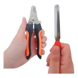 Kit Alicate Tesoura Corte De Unhas Caes Gatos 16cm + Lixa