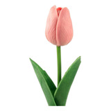 Kit Com 10 Hastes Vara De Tulipa Toque Real Artificial
