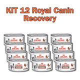  Kit Com 12 Latas Recovery Royal Canin Cães E Gatos