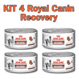  Kit Com 4 Recovery Royal Canin Cães E Gatos