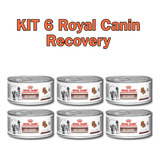  Kit Com 6 Recovery Royal Canin Cães E Gatos
