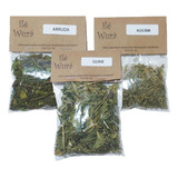 Kit Com Arruda, Alecrim, Guiné - Erva Seca Banho E Defumação