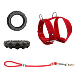 Kit De Peitoral Tração E Guia Com Mola Brinquedo De Brinde
