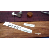 Kit Decal Waterslide Guitarra Giannini Gg08 Stratosonic