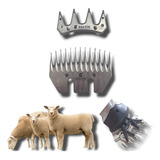 Kit Lâminas 13 E 4 Dentes Tosquiadeira Tosar Carneiro Ovino Ovelha Compatível Com Oster Shearmaster Kaqi Sc2 Sg-6176 Heiniger Maxishear Walmur F7 Nakasaki Nk-76 Songhe Sh0636 Lorben N1j-gm04-76
