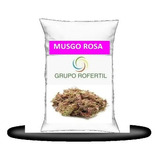 Kit Musgo - Esfagno - Sfagno - Sphagnum Seco 01 Litro