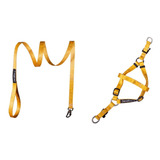Kit Peitoral E Guia Pequeno Yellow Zarablue