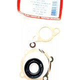 Kit Reparo Bomba Óleo Autolub Rd135z Rd125 Rx125 Rx180