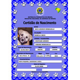Kit Rg - Certidão - Cartão De Vacina - Pet Arquivo Digital