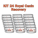Kit Royal Canin Recovery 24 Latas - Cães E Gatos