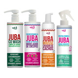 Kit Widi Care Juba Co Wash + Encrespando + Mousse + Bruma