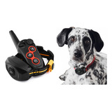 L Dupla Função Pet Barking Stop Recarregável Colar