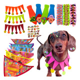 Laços Bandanas Gargantilhas Carnaval Pet 100 Un