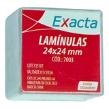 Lamínula De Vidro 24x24mm P/ Microscopia Caixinha 100 Unds Cor Incolor 110v/220v