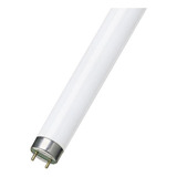 Lampada Fluorescente Tubular 36w T8 Activa 172 6500k Kit C/2