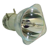 Lampada P/ Benq Ms524,ms527,ms517,mx505,818 Original Philips