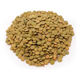 Lentilha Canadense 500g Dietsz