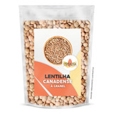 Lentilha Canadense Importada Granel 2kg