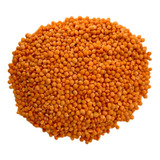 Lentilha Canadense Vermelha 1kg