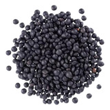 Lentilha Preta Beluga 4kg Frete Grátis