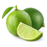 Limão Tahiti 1 Kg