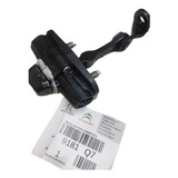 Limitador Porta Dianteira Peugeot 206 207 Original