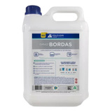 Limpa Borda Piscina Desengordurante Tira Mancha Eficaz 5lt
