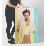 Lindo Quadro Poster Harry Style Decoração Musica Pop Astro