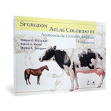 Livro Spurgeon Atlas Colorido De Anatomia De Grandes Animais