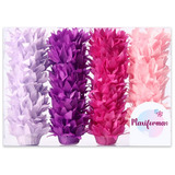 Liz C/50 Tons Mono Lavanda/uva/fucsia/rose