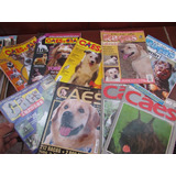 Lote 13 Revistas Cães & Cia / Guia De Raças Etc