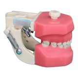 Manequim Pediatria Plp 601 - Orais