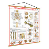 Mapa Sistema Esqueletico 2 Corpo Humano Banner Poster Medici