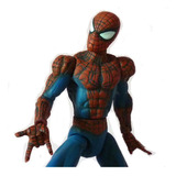 Marvel Legends Spider-man Toybiz Redesign Peter Parker