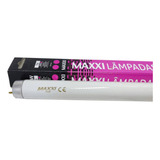 Maxxi Lâmpada Luz Do Dia Rosa T8 18w 60cm