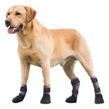 Meia Antiderrapante Cão Dupla Face(2longas 2curtas) Tam Mini