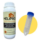 Melipró Probiótico 1lt P/ Abelhas Suplemento 100% Natural