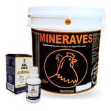 Mineraves 2kg Suplemento Ração Calgold Avícola Postura Aves