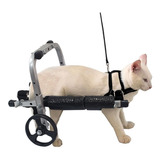 Mini Cadeira Rodas Cão Cachorro Gato Pequeno Filhote Até 2kg