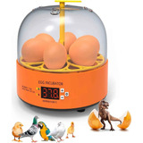 Mini Incubadora Chocadeira Elétrica 6 Ovos Automática 110v
