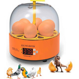 Mini Incubadora Chocadeira Elétrica Ovos Automática