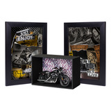 Miniatura Harley-davidson 2014 Sportster Iron 883 1:18 S33